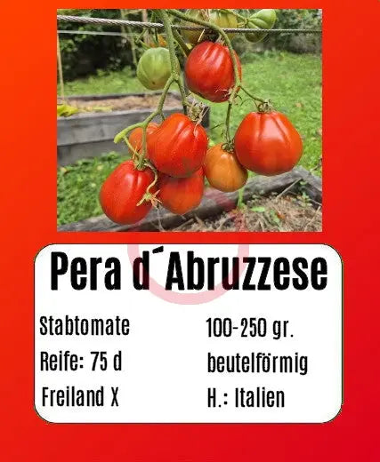 Pera d´Abruzza DER TOMATENFLÜSTERER