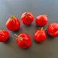 Pera d´Abruzza DER TOMATENFLÜSTERER