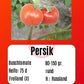 Persik DER TOMATENFLÜSTERER