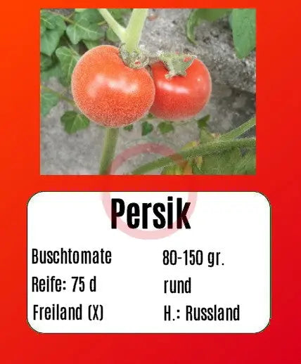 Persik DER TOMATENFLÜSTERER