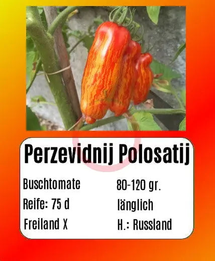 Perzevidnij Polosatij DER TOMATENFLÜSTERER