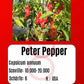 Peter Pepper DER TOMATENFLÜSTERER