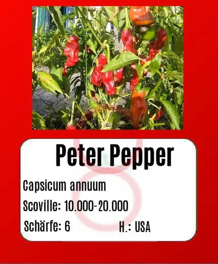 Peter Pepper DER TOMATENFLÜSTERER
