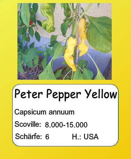 Peter Pepper Yellow DER TOMATENFLÜSTERER