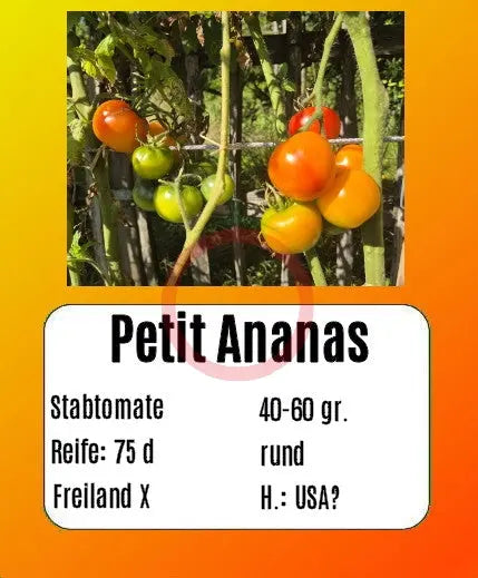 Petit Ananas DER TOMATENFLÜSTERER