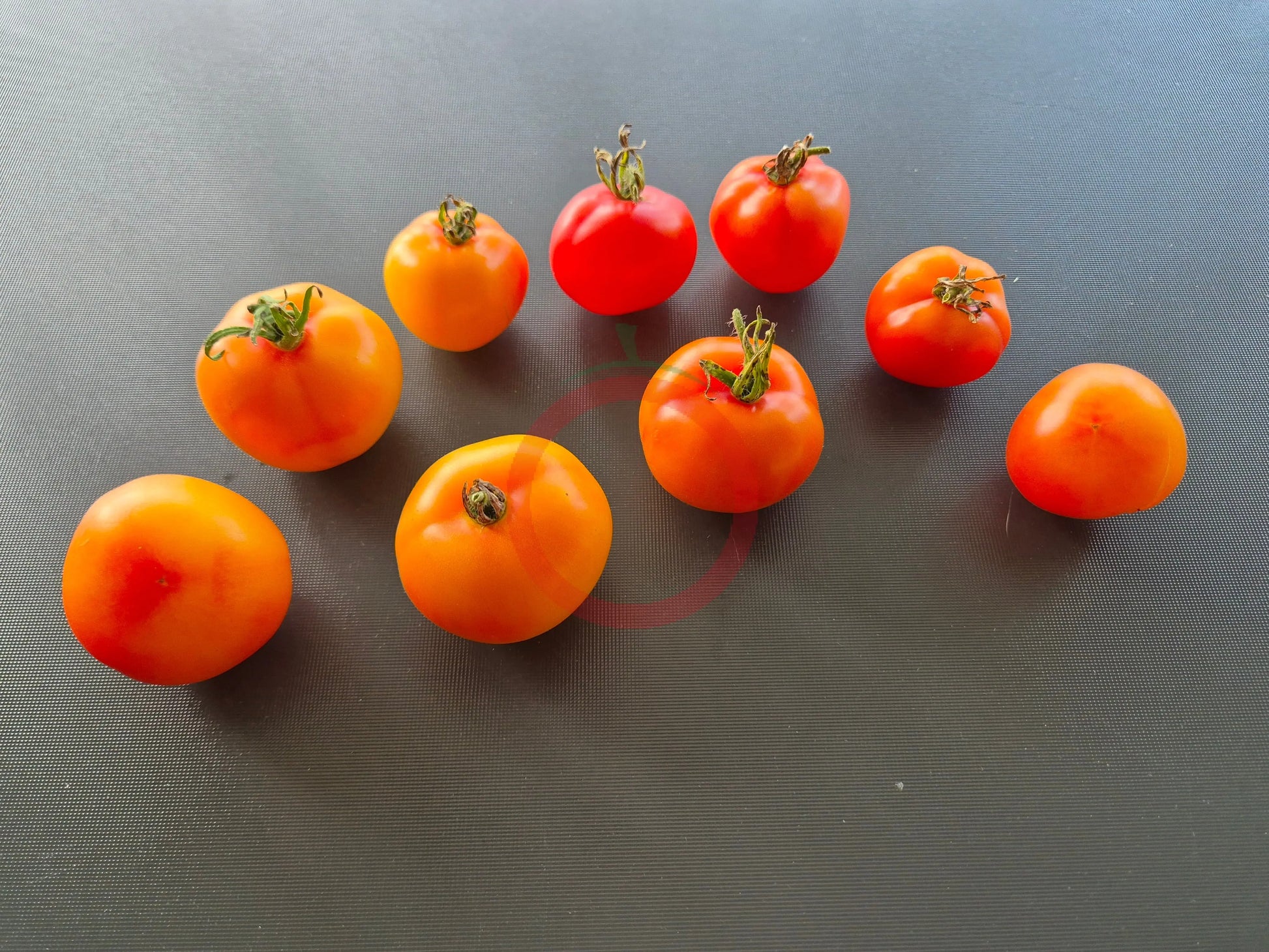 Petit Ananas DER TOMATENFLÜSTERER