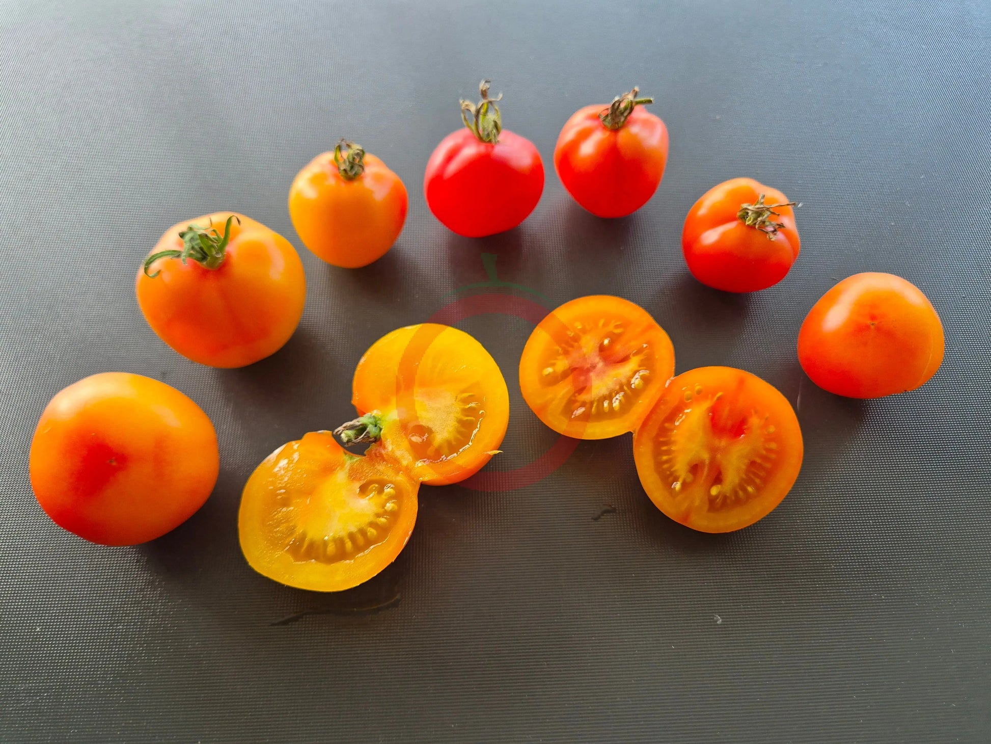 Petit Ananas DER TOMATENFLÜSTERER