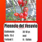 Piennolo del Vesuvio rosso DER TOMATENFLÜSTERER