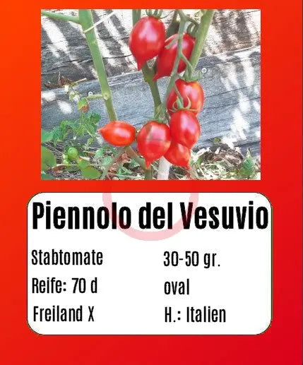 Piennolo del Vesuvio rosso DER TOMATENFLÜSTERER