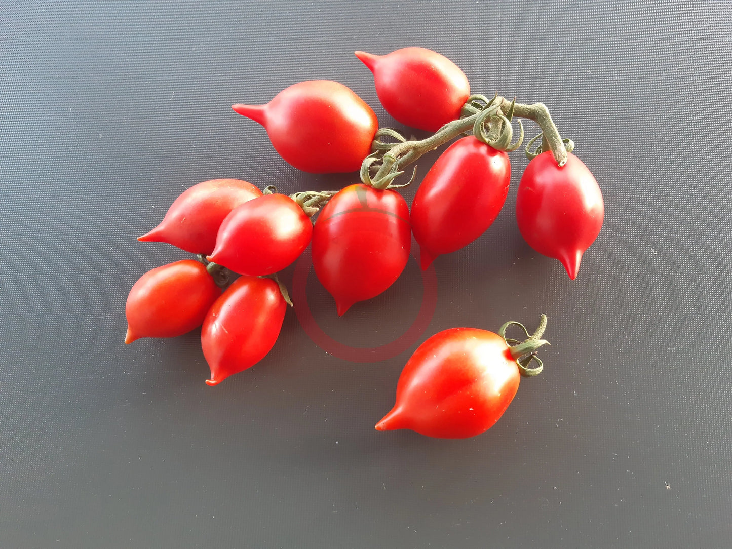 Piennolo del Vesuvio rosso DER TOMATENFLÜSTERER