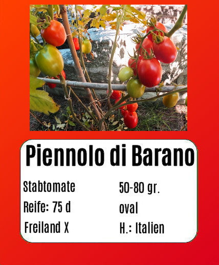 Piennolo di Barano DER TOMATENFLÜSTERER