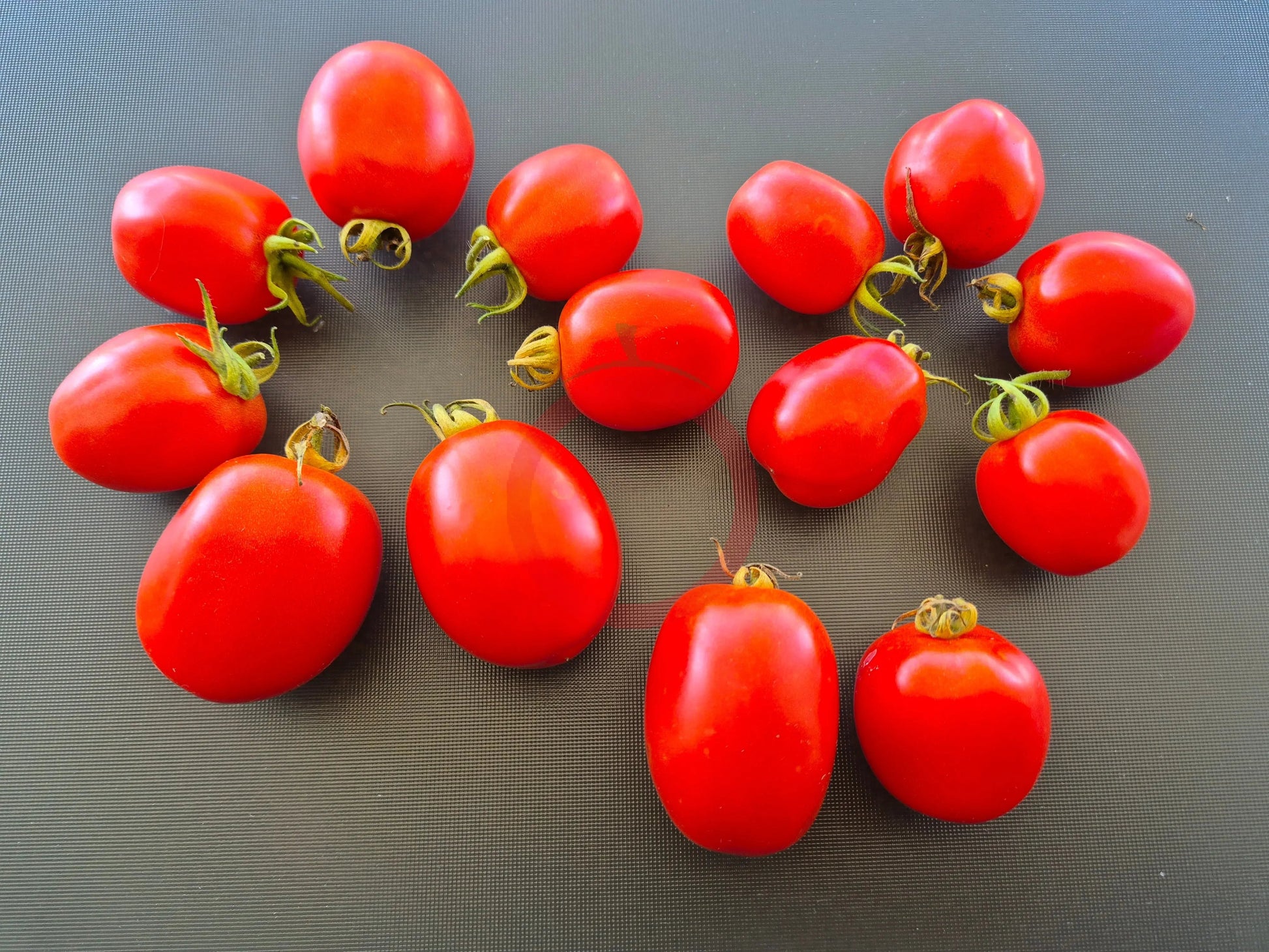 Piennolo di Barano DER TOMATENFLÜSTERER