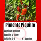 Pimento Piquillo DER TOMATENFLÜSTERER