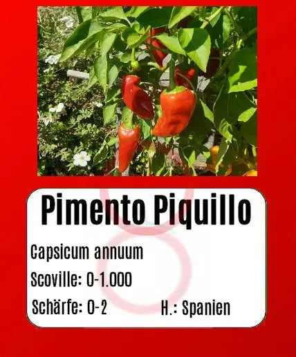 Pimento Piquillo DER TOMATENFLÜSTERER