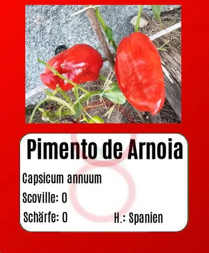 Pimento de Arnoia DER TOMATENFLÜSTERER