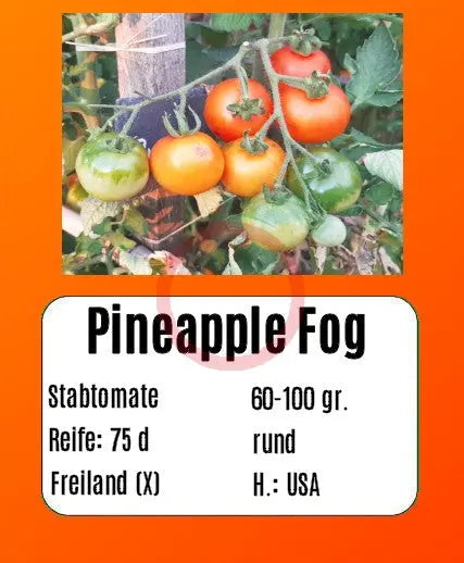 Pineapple Fog DER TOMATENFLÜSTERER