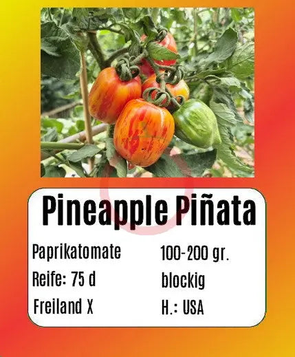 Pineapple Piñata DER TOMATENFLÜSTERER