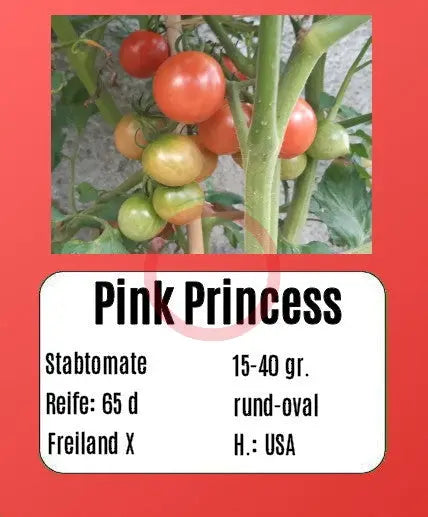 Pink Princess DER TOMATENFLÜSTERER