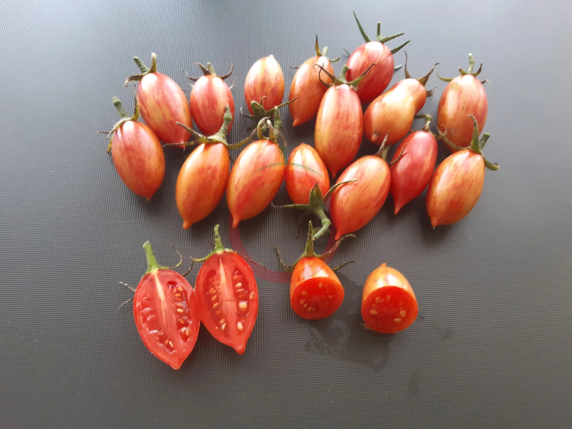 Pink Tiger DER TOMATENFLÜSTERER