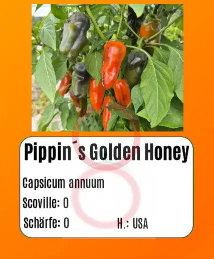 Pippin´s Golden Honey DER TOMATENFLÜSTERER