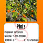 Piriz DER TOMATENFLÜSTERER