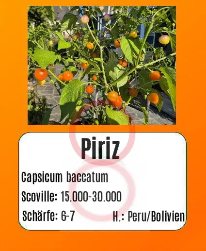 Piriz DER TOMATENFLÜSTERER