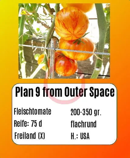 Plan 9 from outer Space DER TOMATENFLÜSTERER