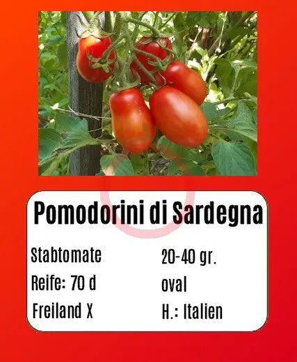 Pomodorini di Sardegna DER TOMATENFLÜSTERER