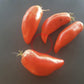 Pomodoro Banana Marino DER TOMATENFLÜSTERER