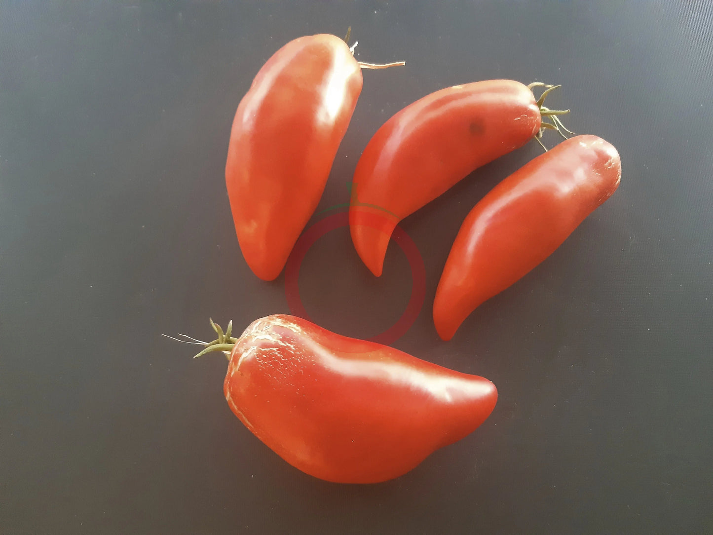 Pomodoro Banana Marino DER TOMATENFLÜSTERER