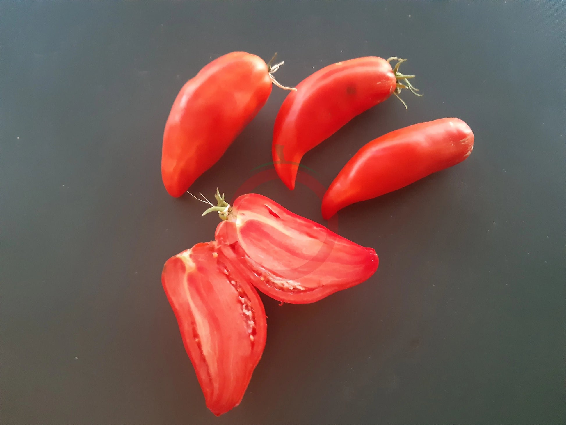 Pomodoro Banana Marino DER TOMATENFLÜSTERER