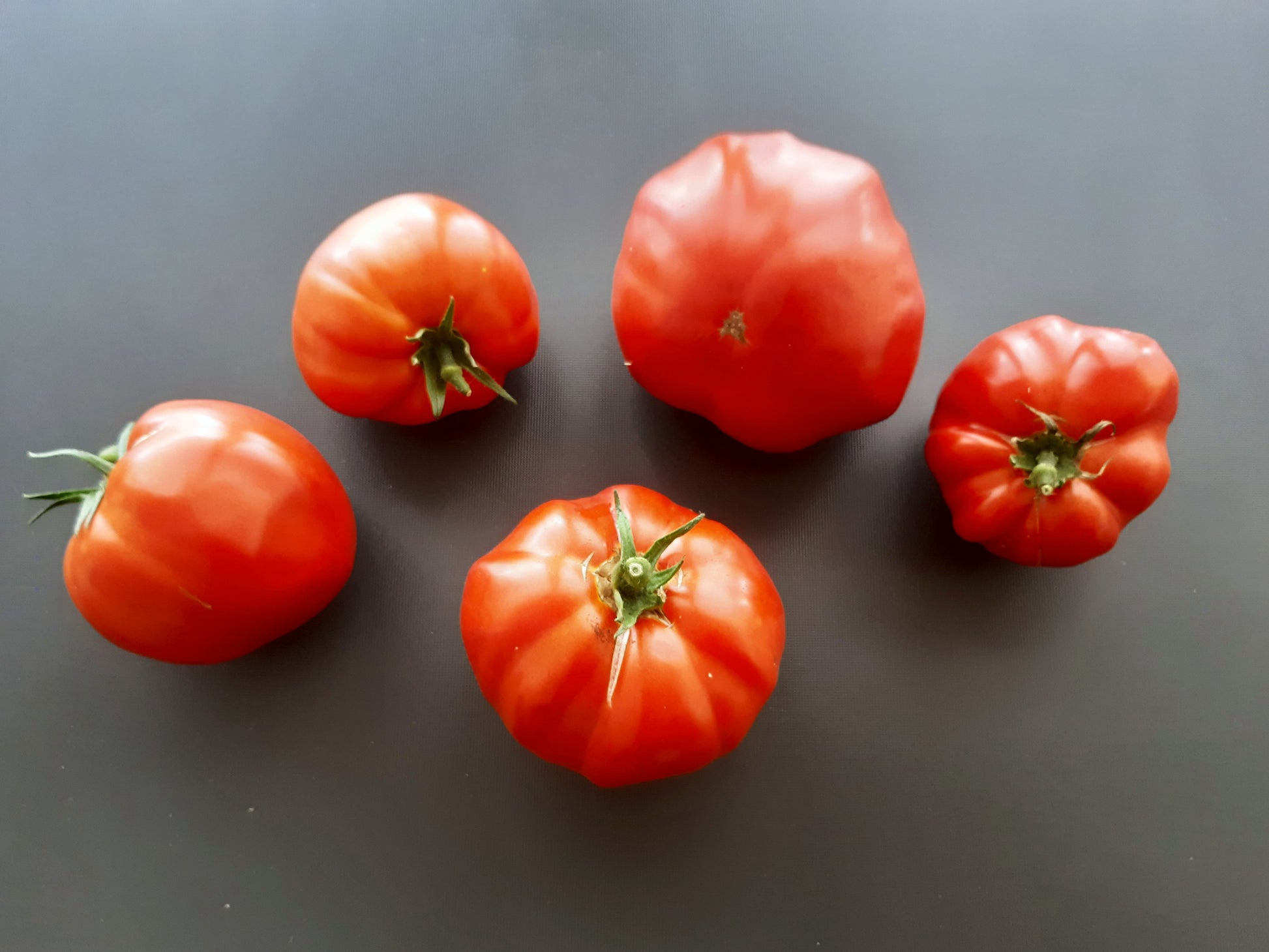 Pomodoro Gigante di Carbonara al Ticino DER TOMATENFLÜSTERER