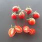 Pomodoro Rosso di Maciano DER TOMATENFLÜSTERER