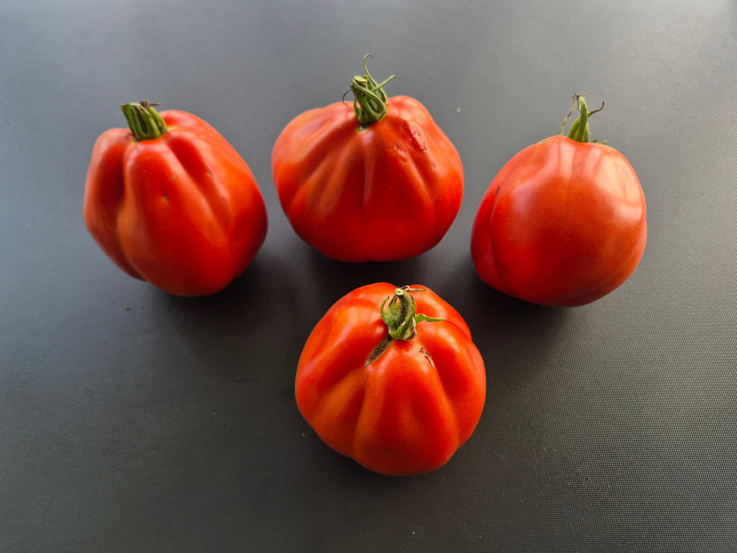 Pomodoro del Nonno di Eupilio DER TOMATENFLÜSTERER