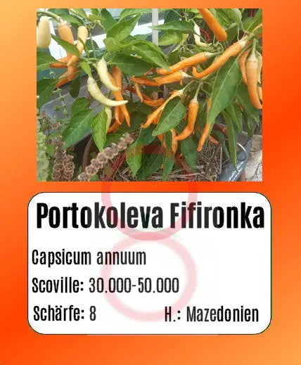 Portokoleva Fifironka DER TOMATENFLÜSTERER