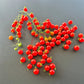 Post Office Spoonful DER TOMATENFLÜSTERER