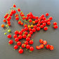 Post Office Spoonful DER TOMATENFLÜSTERER
