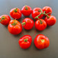 Potager de Vilvorde DER TOMATENFLÜSTERER