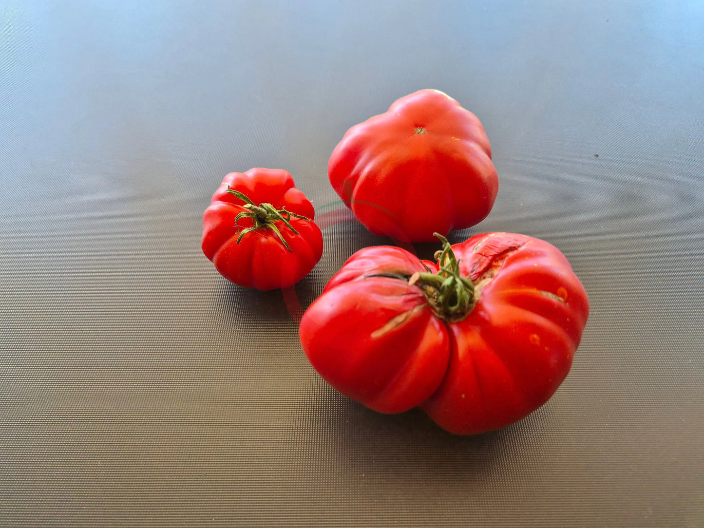 President Garfield DER TOMATENFLÜSTERER