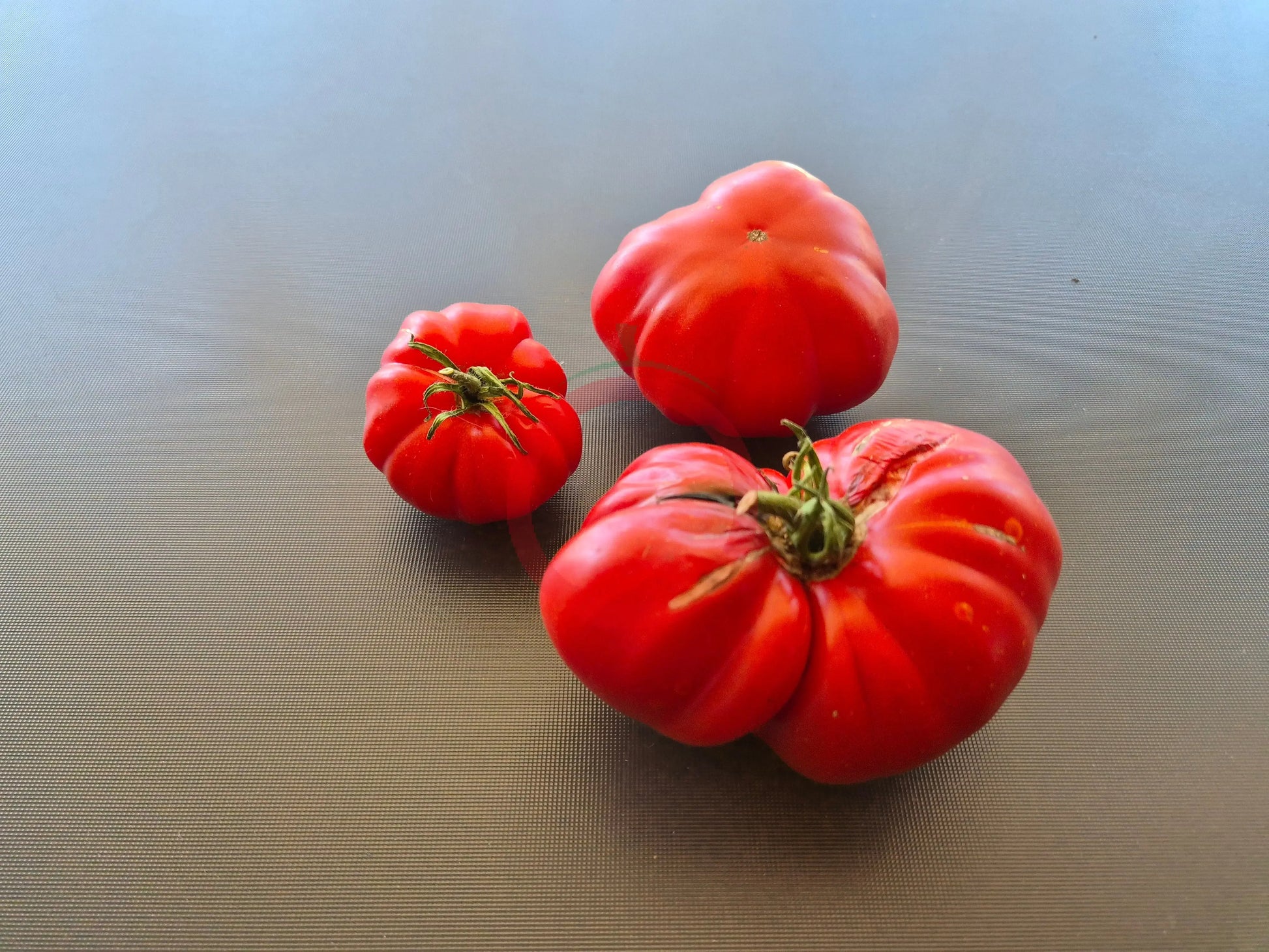President Garfield DER TOMATENFLÜSTERER