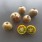 Pride of Flanders Woolly DER TOMATENFLÜSTERER