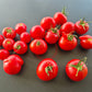 Princess Katya Pink DER TOMATENFLÜSTERER