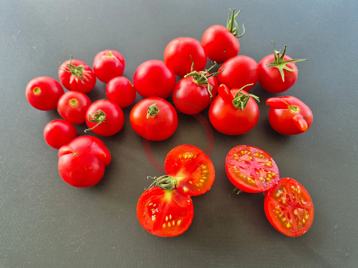 Princess Katya Pink DER TOMATENFLÜSTERER