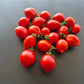 Professor Klapprotts Spitze DER TOMATENFLÜSTERER