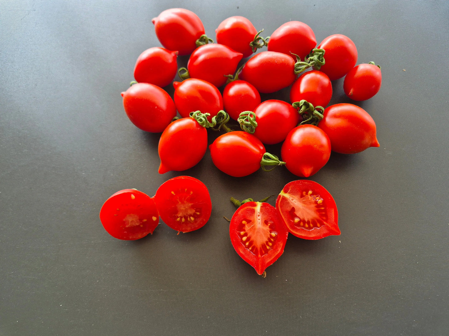 Professor Klapprotts Spitze DER TOMATENFLÜSTERER