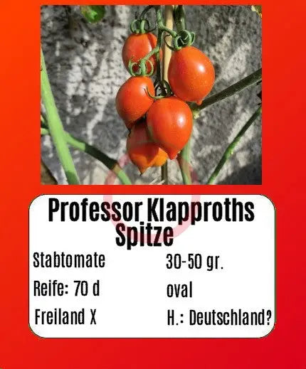 Professor Klapprotts Spitze DER TOMATENFLÜSTERER