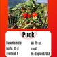 Puck DER TOMATENFLÜSTERER