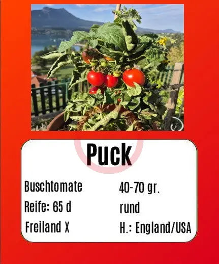 Puck DER TOMATENFLÜSTERER