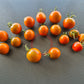 Pumpkin Spice DER TOMATENFLÜSTERER
