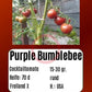 Purple Bumblebee DER TOMATENFLÜSTERER